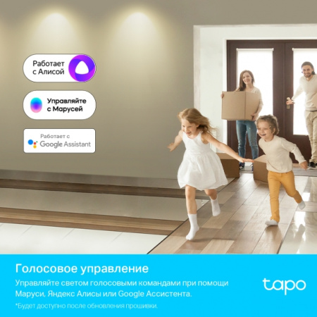 Фотография Умный многоцветный светильник Tapo L630 в интернет-магазине KitConnect