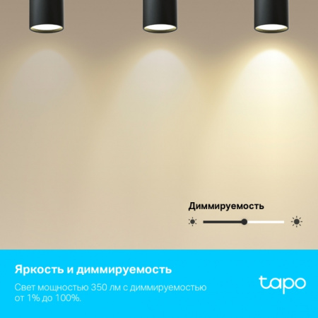 Фотография Умный многоцветный светильник Tapo L630 в интернет-магазине KitConnect
